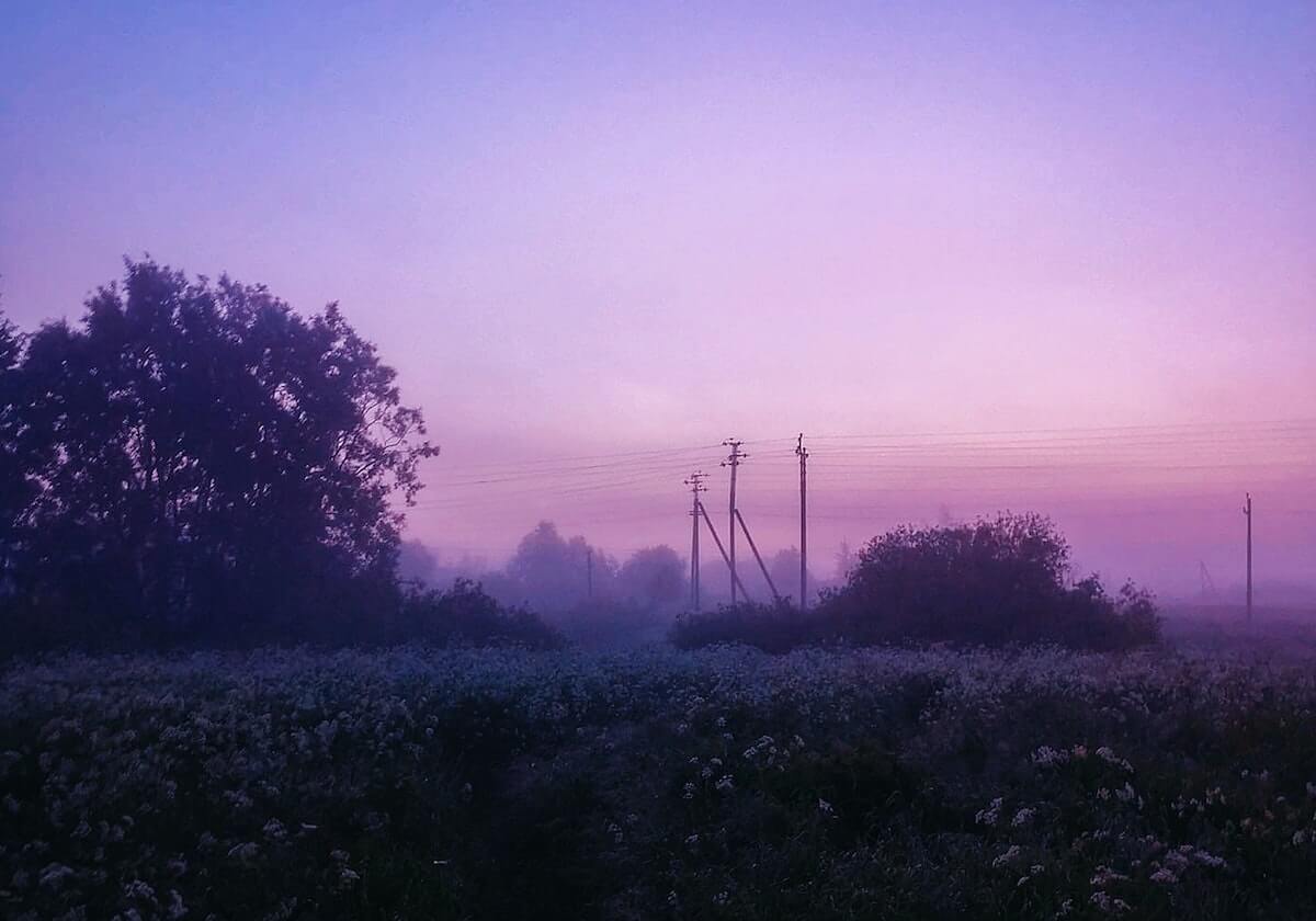女足亚洲杯：韩国队胜菲律宾队 澳大利亚队胜伊朗队|伊朗足球队|韩国女足|小组|领先|福勒_新浪新闻